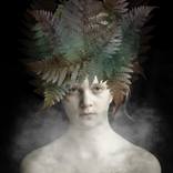 Smog (Party of Fragile series) by Patricia Worldoftries