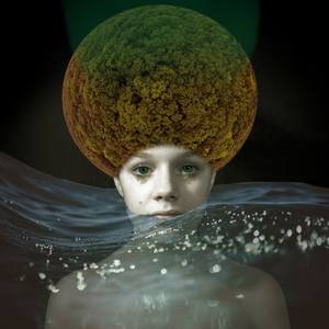 Flood (part of Fragile series) - Limited Edition of 5