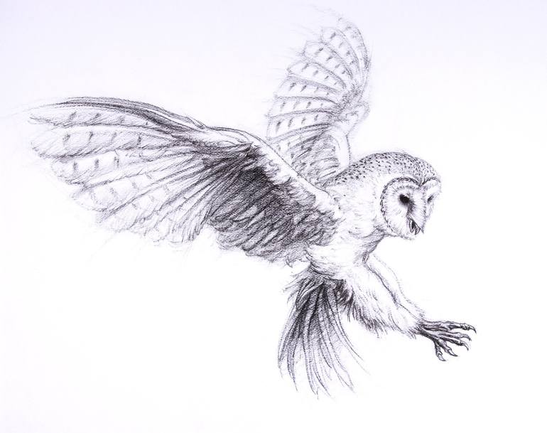 Owl in Flight Drawing by Brent Eviston | Saatchi Art