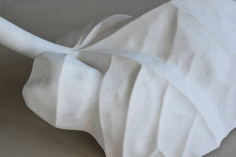 Original 3d Sculpture Botanic Sculpture by Verena Mayer-Tasch