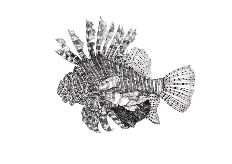 Lionfish Drawing By Cebine Nieuwenhuize Saatchi Art Want to discover art related to lionfish? lionfish drawing