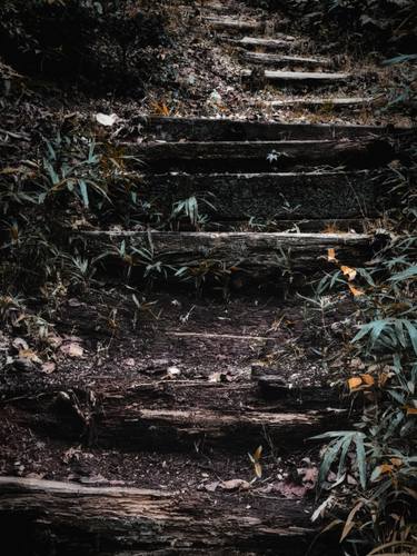 Forest steps at Kiyomizu temple in Kyoto, Japan - Limited Edition of 50 thumb