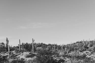 Arizona Desert #1 - Limited Edition of 20 thumb