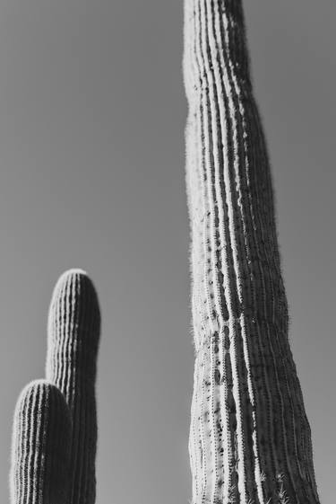 Arizona Desert #3 - Limited Edition of 20 thumb