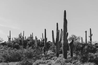 Arizona Desert #4 - Limited Edition of 20 thumb