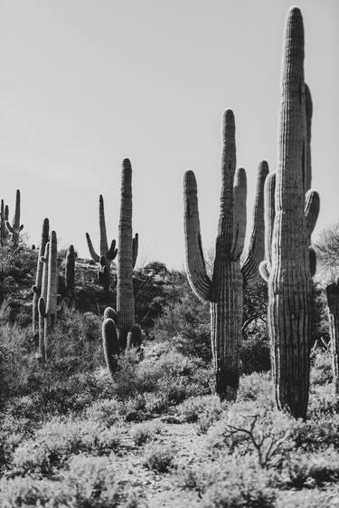 Arizona Desert #5 - Limited Edition of 20 thumb