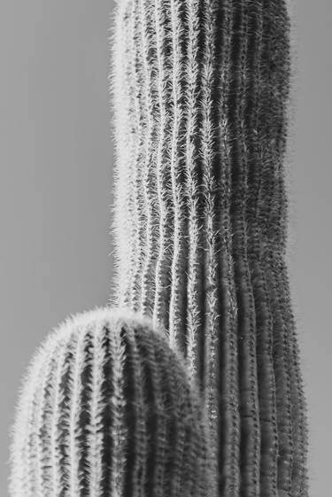 Arizona Desert #6 - Limited Edition of 20 thumb