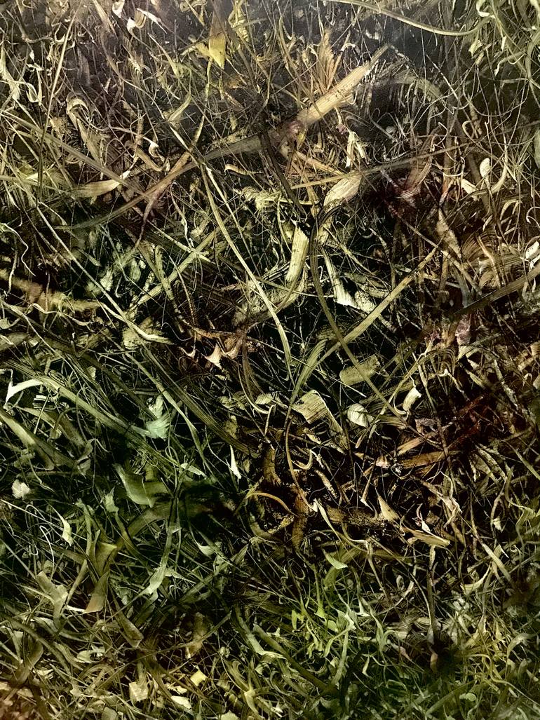 Original Expressionism Landscape Painting by Frank Hinrichs