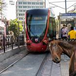 HorsingAround Istanbul - Limited Edition of 5 by Siavash Sedigh