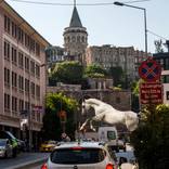 HorsingAround Istanbul - Limited Edition of 5 by Siavash Sedigh