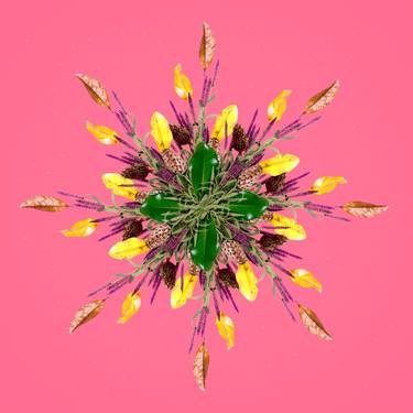 Original Abstract Floral Photography by Bogdan Mihai