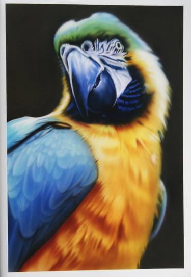 Original Realism Animal Paintings by Adriano Ayerbe