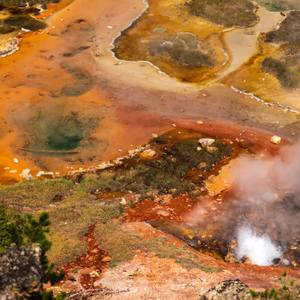 Zen 1 - Yellowstone - Limited Edition of 10