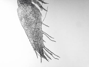 Print of Fish Drawings by Naohiko Nomura