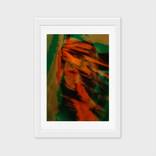 Collection Hoxton - Brooklyn - Highlight Artists