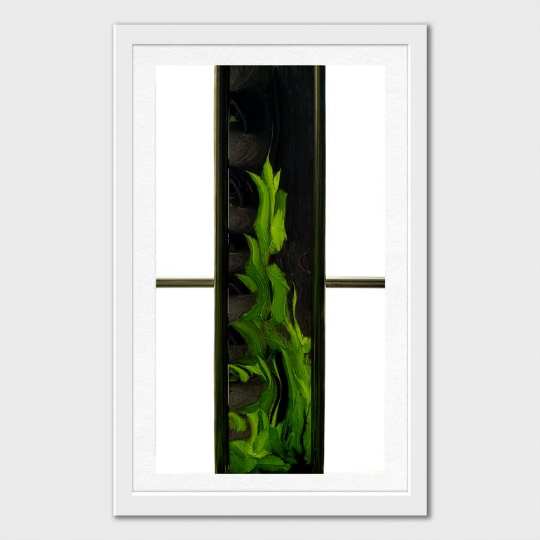 Original Contemporary Nature Photography by Kobi Walsh