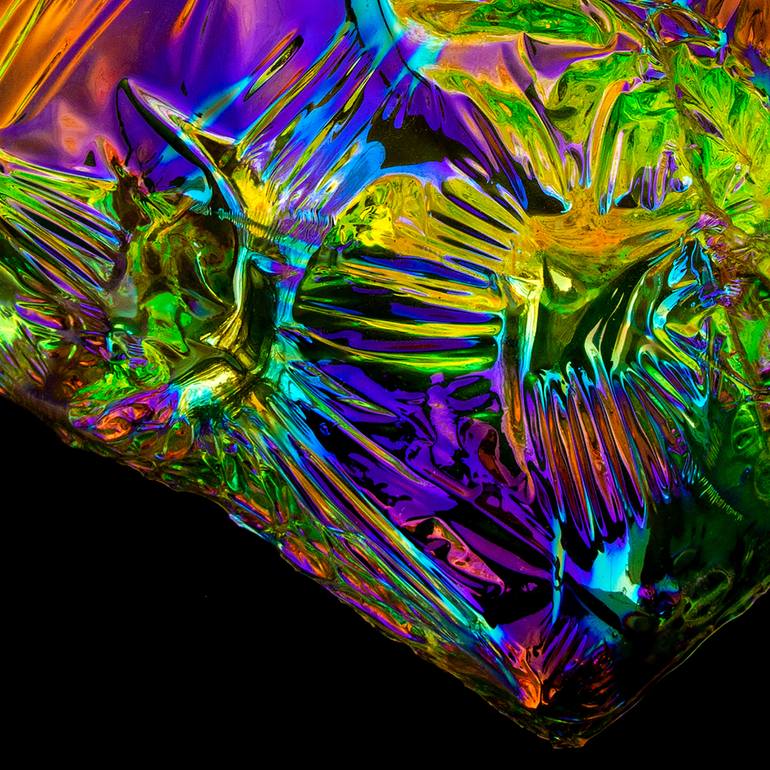 Original Abstract Nature Photography by Kobi Walsh