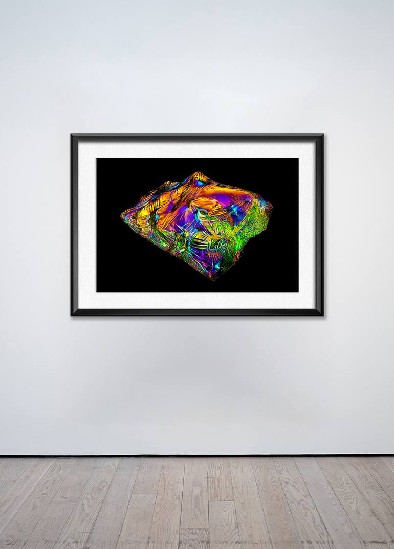 Original Abstract Nature Photography by Kobi Walsh
