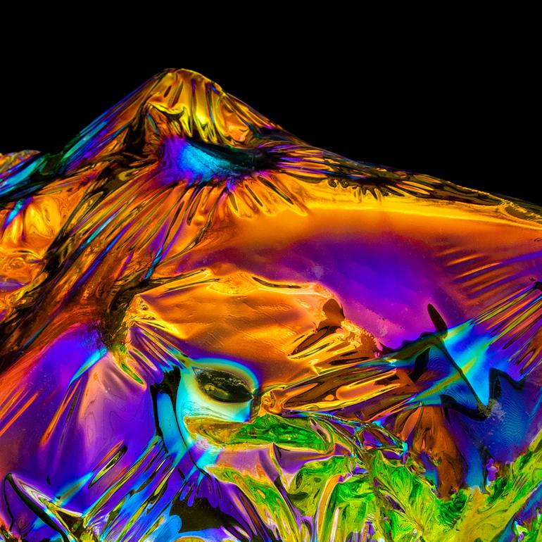 Original Abstract Nature Photography by Kobi Walsh
