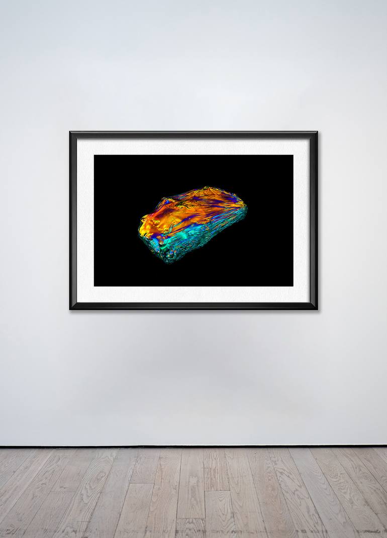 Original Abstract Nature Photography by Kobi Walsh