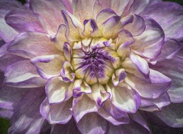 Print of Floral Photography by Steve Murray