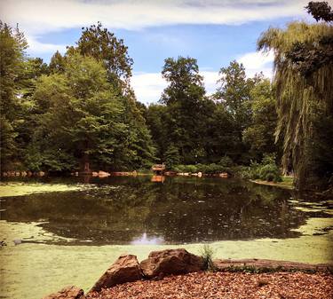 Monet Moment in Central Park NYC - Limited Edition of 25 thumb