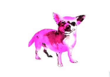 Pink Chihuahua thumb