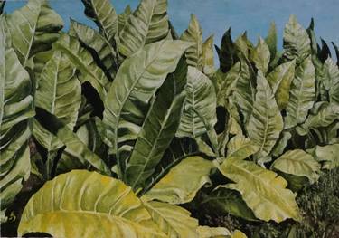 Original Realism Nature Paintings by Andzela Smalka