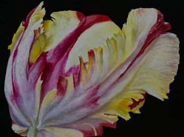 Print of Realism Floral Paintings by Andzela Smalka