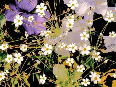 Original Floral Photography by Judit Nagy L