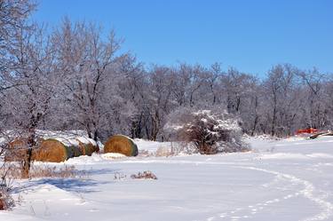 Original Fine Art Landscape Photography by Rick Hansen