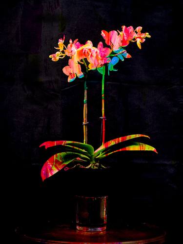 Original Fine Art Floral Photography by Yasuo Kiyonaga