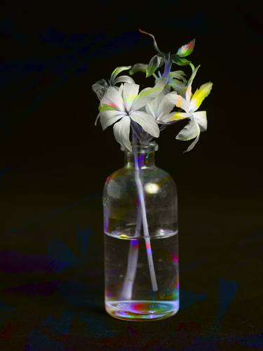 Original Floral Photography by Yasuo Kiyonaga