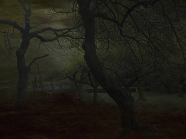 Original Fine Art Tree Photography by Yasuo Kiyonaga
