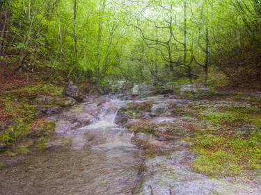 Original Abstract Nature Photography by Yasuo Kiyonaga