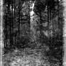 view additional image 1