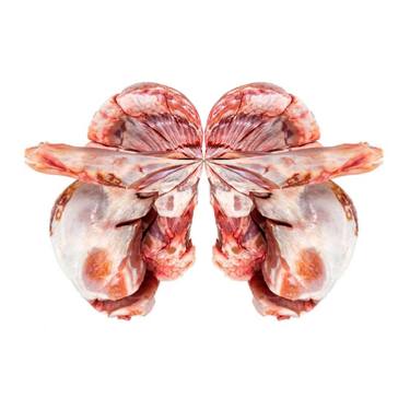 Original Modern Mortality Photography by Shrikanth Poojari