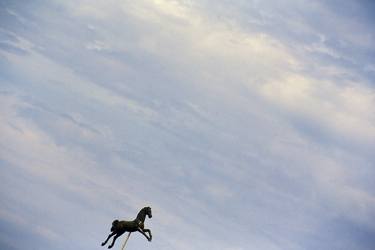 Original Horse Photography by Roberto Ferrero