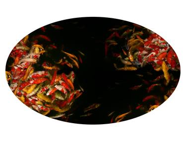 Oval fish pond with koi - Limited Edition of 1 thumb