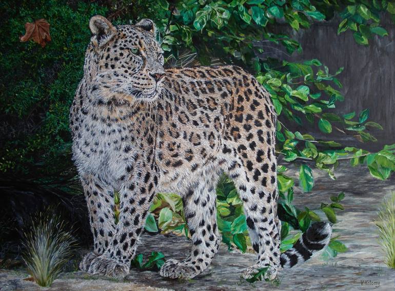 Panthera pardus orientalis Painting by Viktoriya Kolomiychuk | Saatchi Art