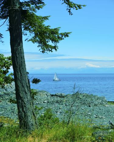 Print of Water Photography by Mark Swiecki