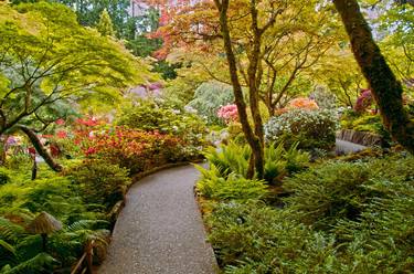 Print of Fine Art Garden Photography by Mark Swiecki