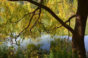 Print of Fine Art Nature Photography by Mark Swiecki