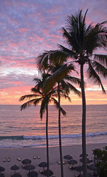 Palm Tree Sunset thumb