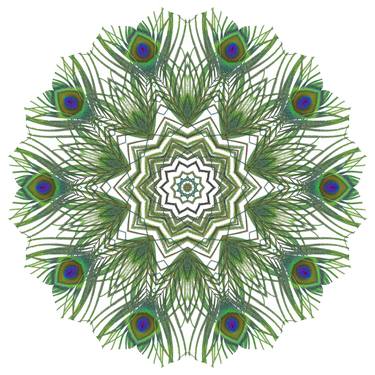 Peacock Northern Star Mandala thumb