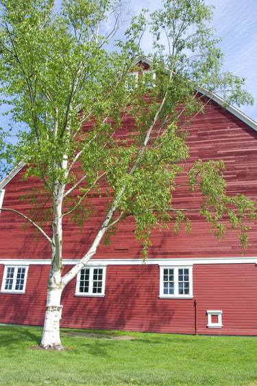 Old Red Barn thumb