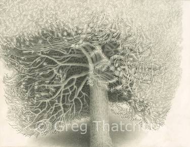 Original Realism Tree Printmaking by Greg Thatcher