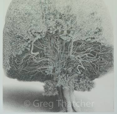 Original Landscape Printmaking by Greg Thatcher