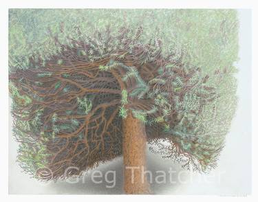 Original Tree Printmaking by Greg Thatcher