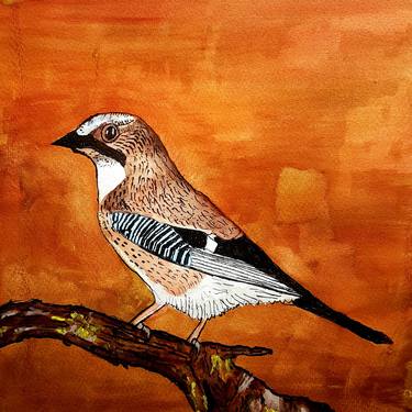 Original Animal Paintings by Allan J Brown